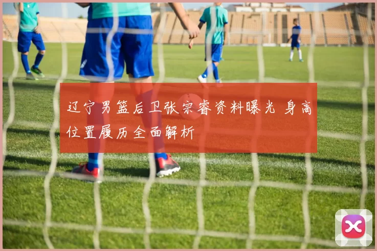 辽宁男篮后卫张宗睿资料曝光 身高位置履历全面解析