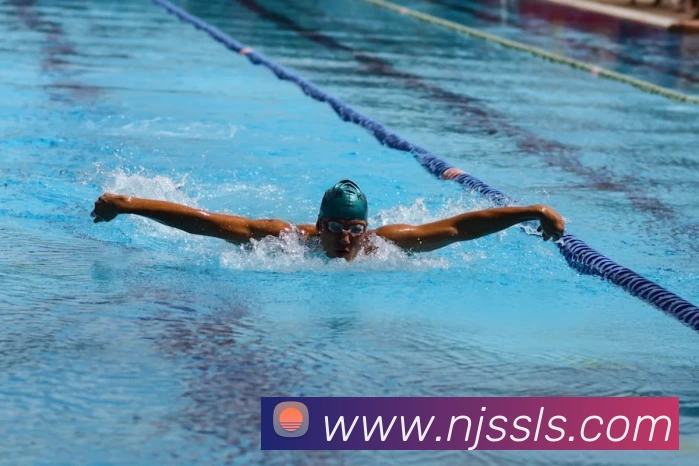 米兰官方版网站登录入口 - 米兰MiLan(中国)发展历程